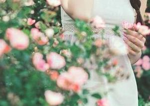 Bambi(밤비)DJAWA乳胶女仆全新视觉：各具风情的精彩图片合集震撼发布