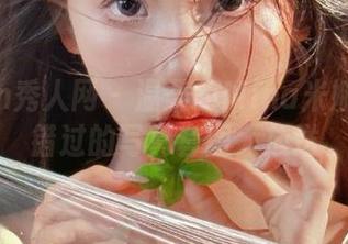 Xiuren秀人网 – 温柔的Mina米娜：不可错过的写真套图大放送