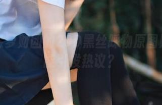 为何森萝财团的20D黑丝踩物原图照片总能引发热议？