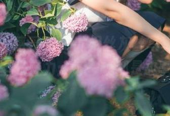 秀人网 – 感受Egg尤妮丝灰丝写真中的无圣光魅力：每一帧都是故事
