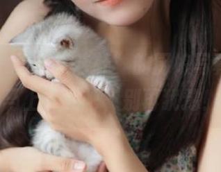 秀人网 – 探秘“艺轩”的厨娘写真作品，马上下载吧，别再犹豫！