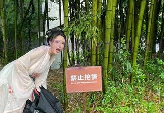 来吧！免费获取秋和柯基的舞台秀作品，萌宠笑话大放送！