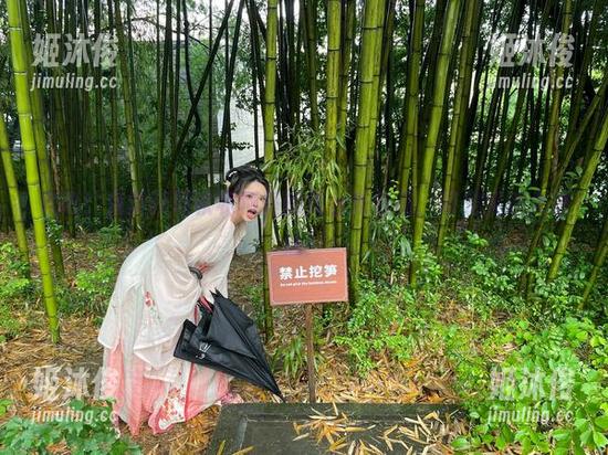 秋和柯基 来吧!免费获取秋和柯基的舞台秀作品,萌宠笑话大放送!