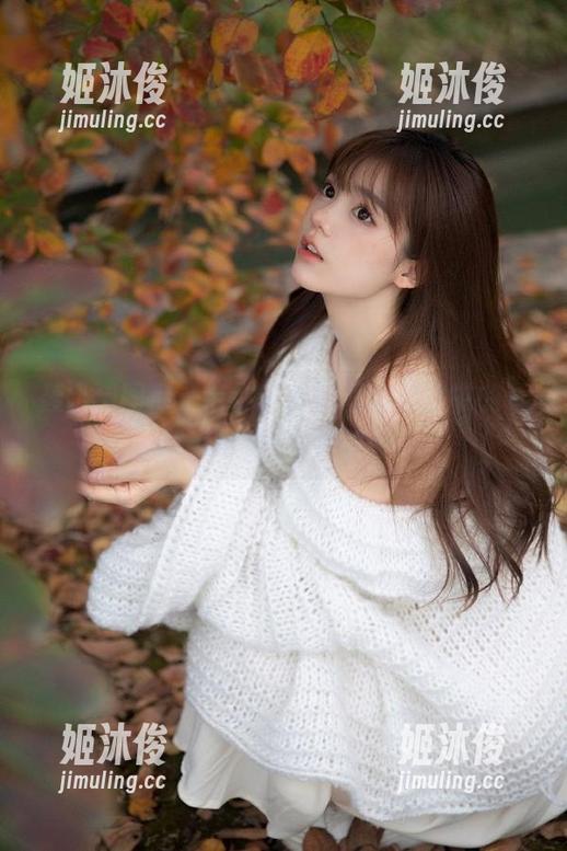 轰趴猫 轰趴猫图库,带你分享人间惊鸿宴中的奇妙摄影旅程与故事